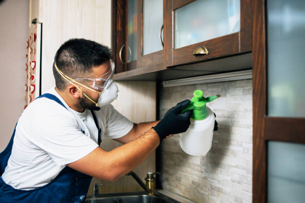 Best Cockroach Control Services  in Burke, VA