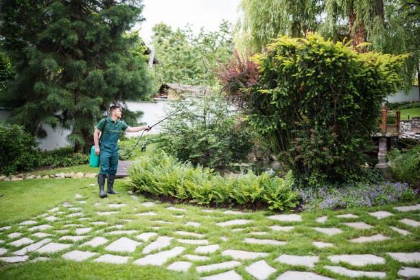 Best Pest Control Near Me  in Burke, VA