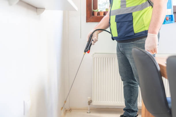 Flea Control Services in Burke, VA