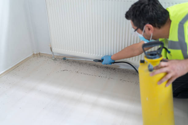 Best Commercial Pest Control Services  in Burke, VA