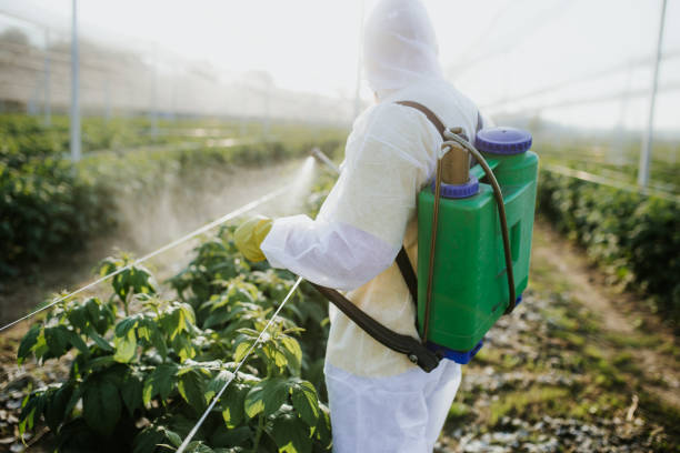 Best Local Pest Control Services  in Burke, VA